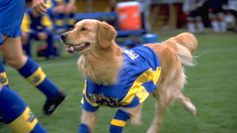 Air Bud: World Pup movie scenes