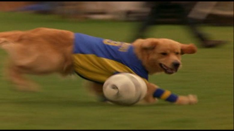 air bud world pup josh