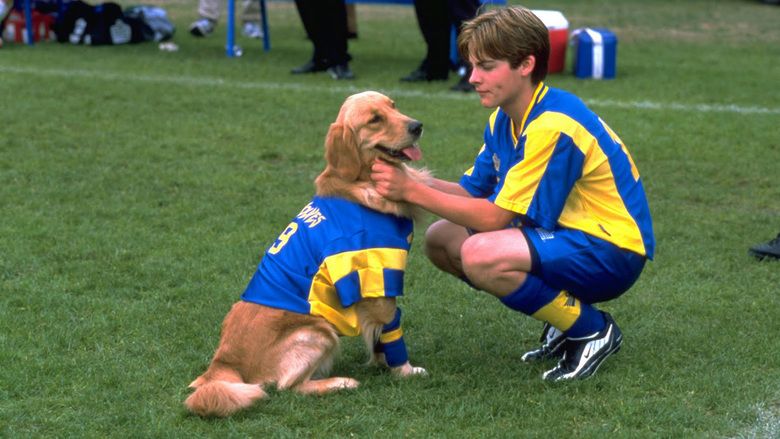 Air Bud: World Pup movie scenes