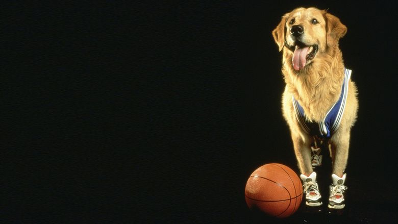 Air Bud movie scenes