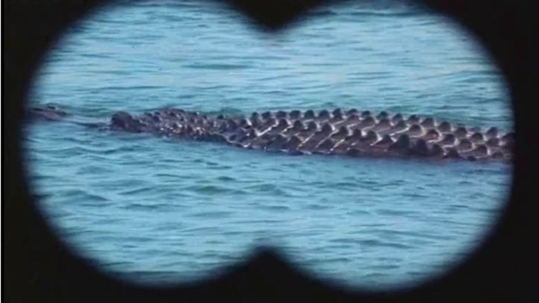 Alligator (film) movie scenes