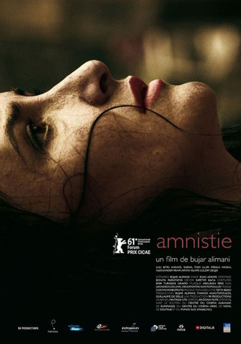 Amnesty (film) movie poster