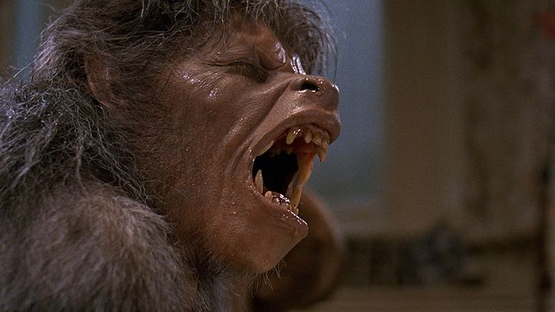 An American Werewolf in London movie scenes
