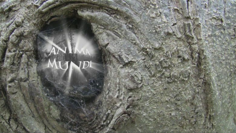 Anima Mundi (film) movie scenes