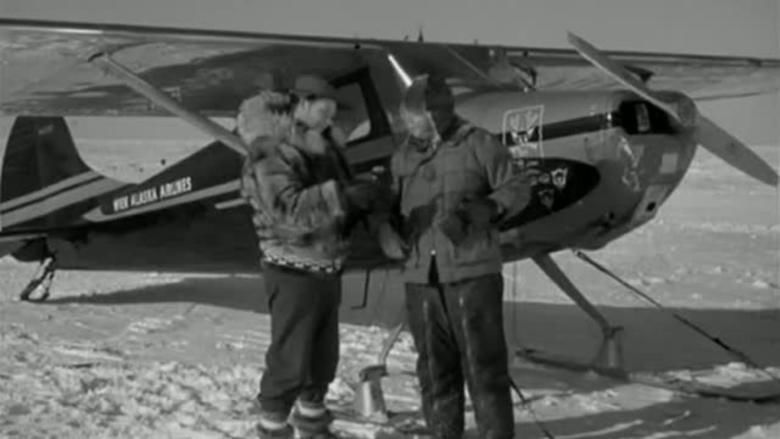Arctic Flight movie scenes
