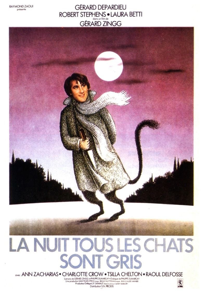 At Night All Cats Are Crazy movie poster