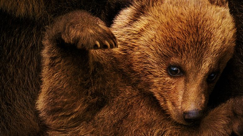 Bears (film) movie scenes