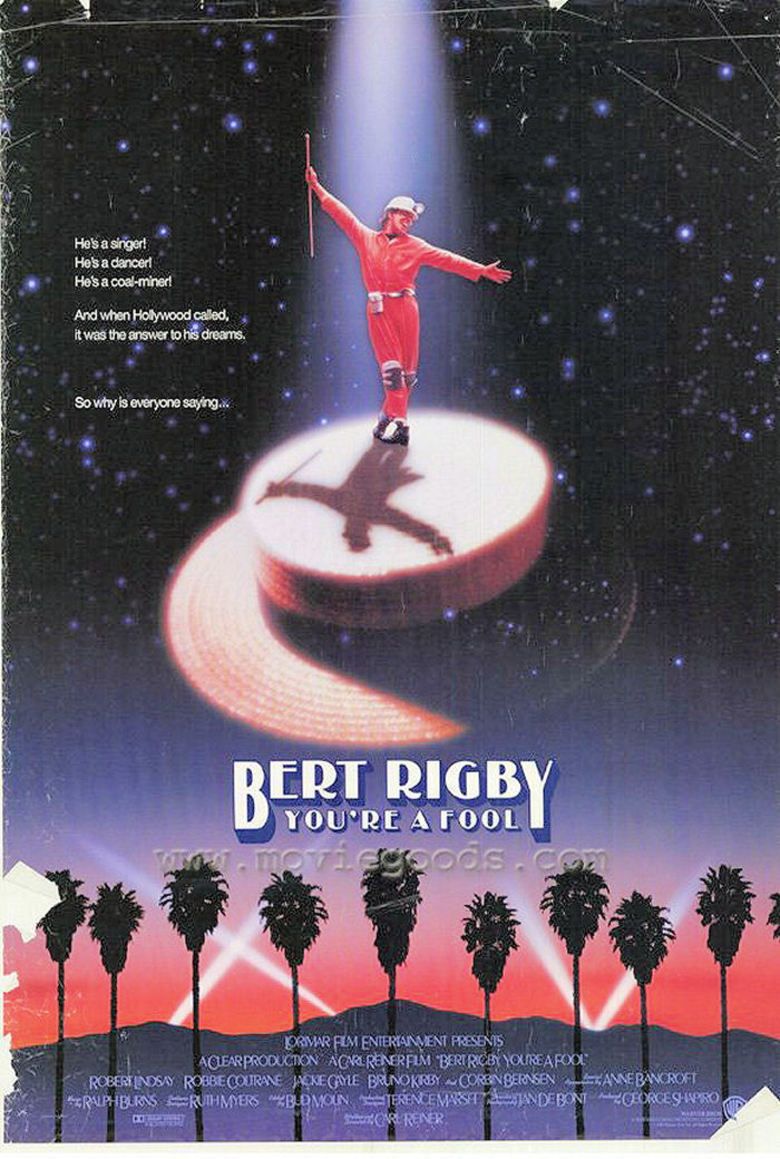 Bert Rigby, Youre a Fool movie poster