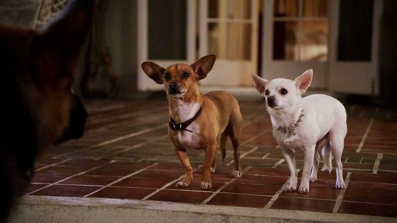 Beverly Hills Chihuahua 2 movie scenes