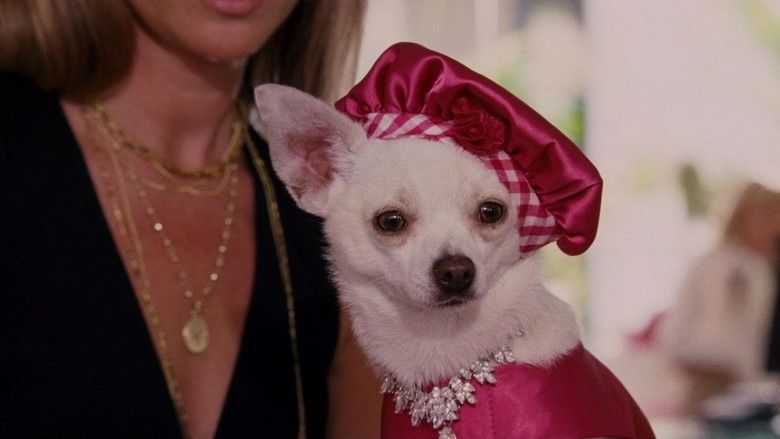 Beverly Hills Chihuahua movie scenes