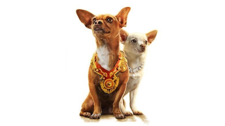 Beverly Hills Chihuahua movie scenes