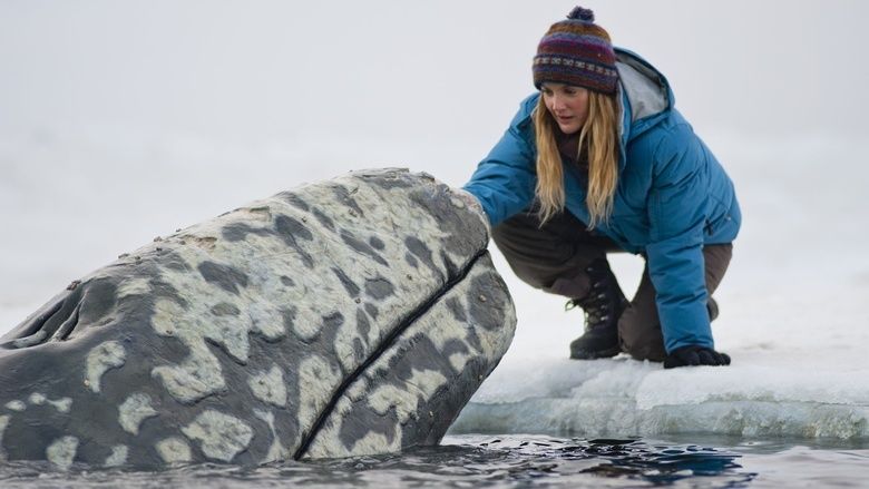 Big Miracle movie scenes