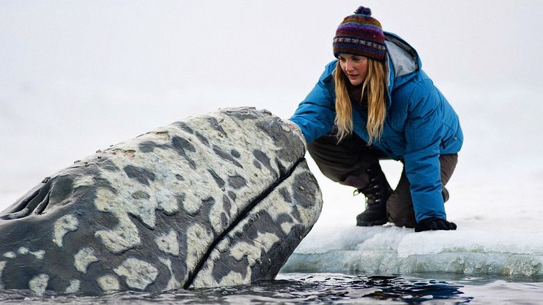 Big Miracle movie scenes