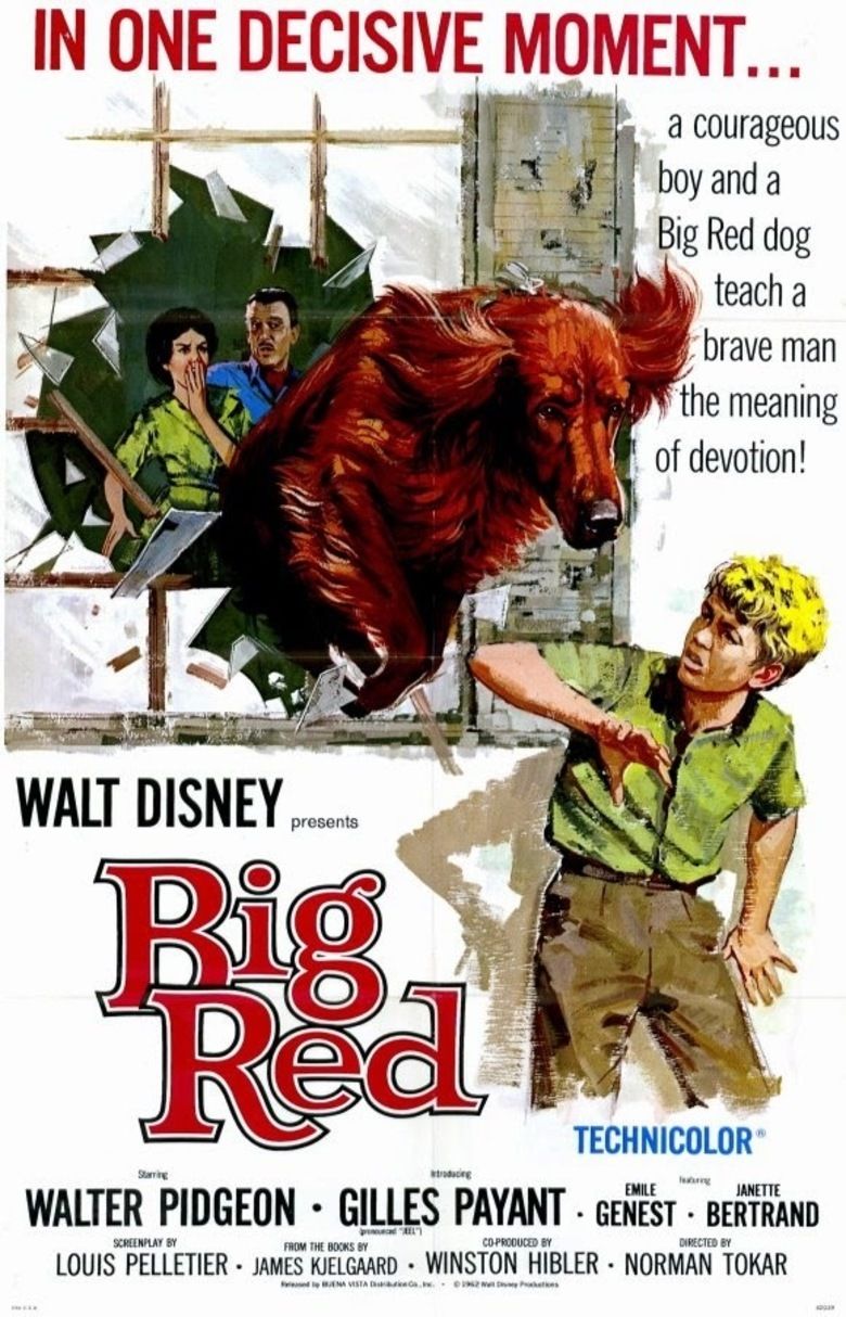 Big Red  Disney Movies