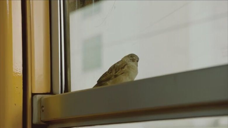 Bird People (film) movie scenes