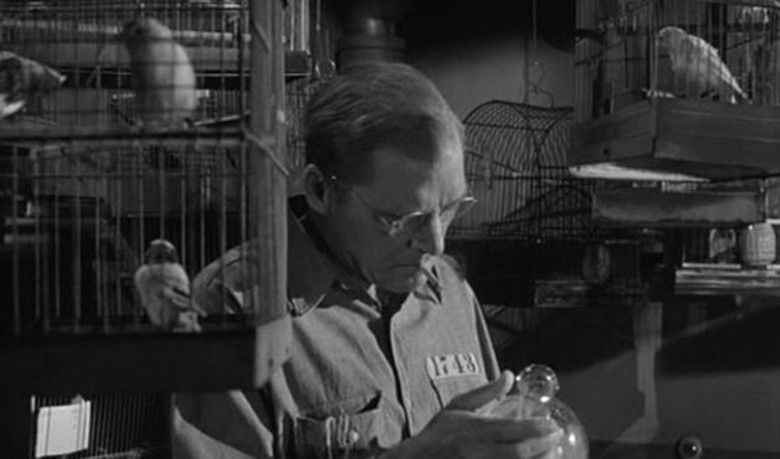 Birdman of Alcatraz (film) movie scenes