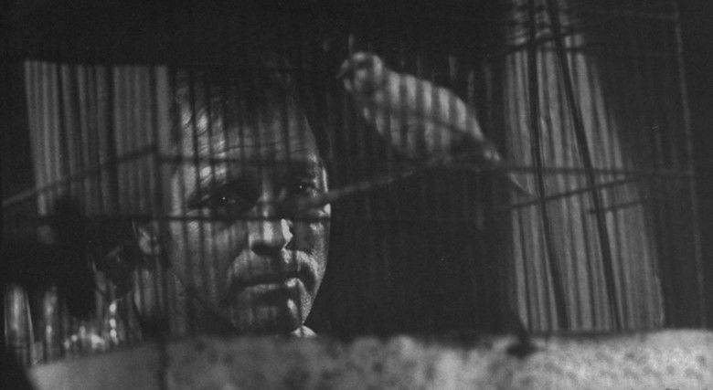Birdman of Alcatraz (film) movie scenes