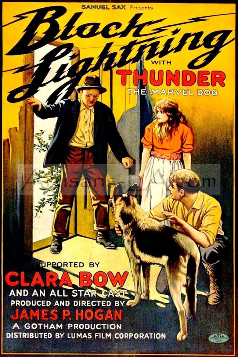 Black Lightning (1924 film) movie poster