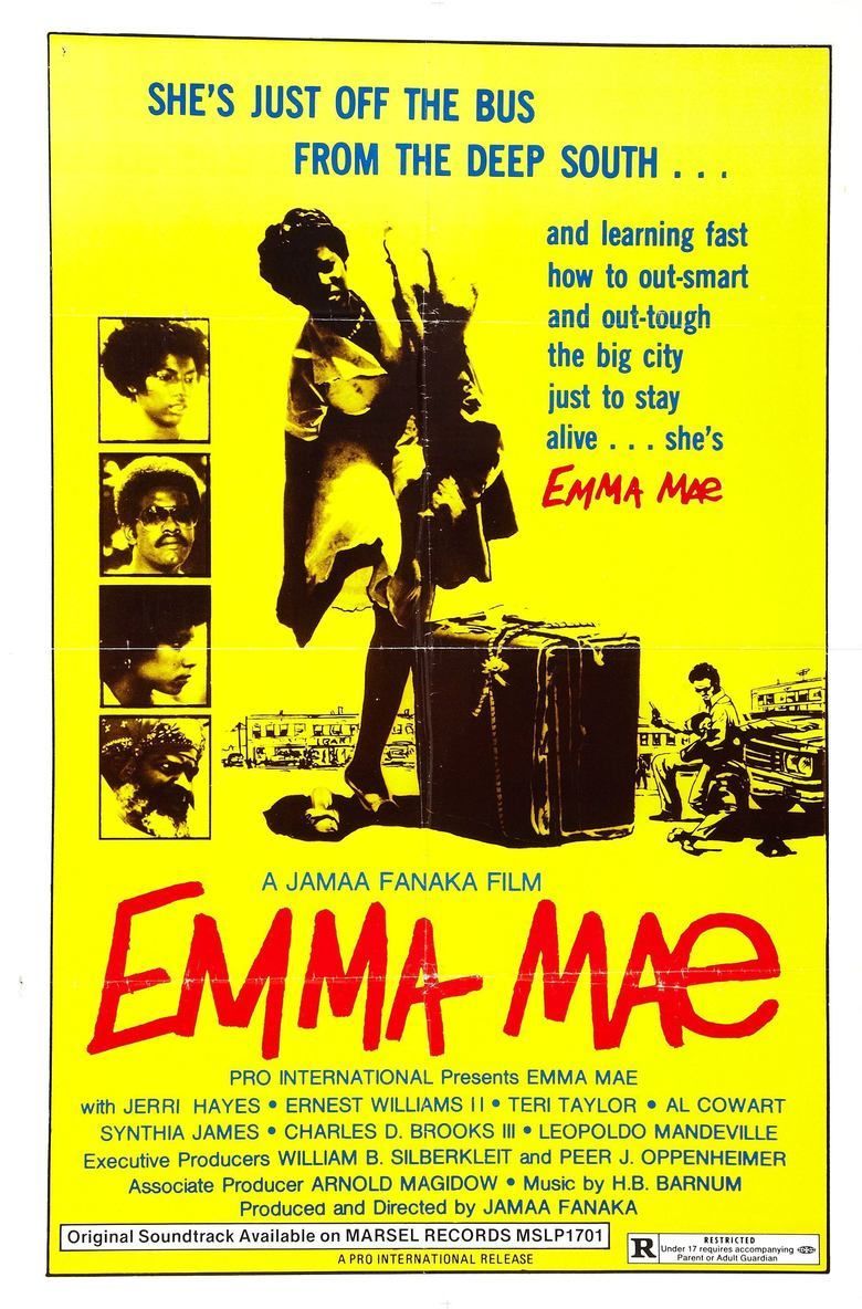 A theatrical poster of the 1974 Blaxploitation film written and directed by Jamaa Fanaka, initially released as Emma Mae then re-titled to Black Sister's Revenge for home video release, featuring Jerri Hayes.