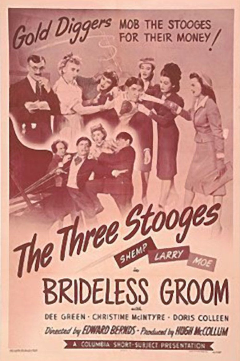 Brideless Groom movie poster