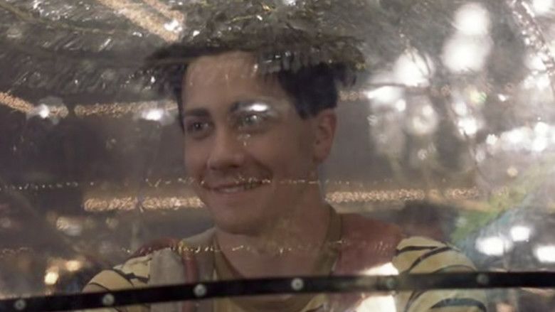 Bubble Boy (film) movie scenes