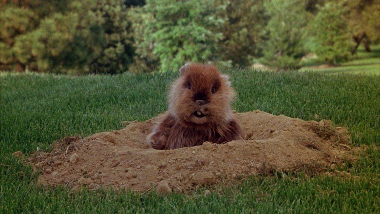 Caddyshack movie scenes