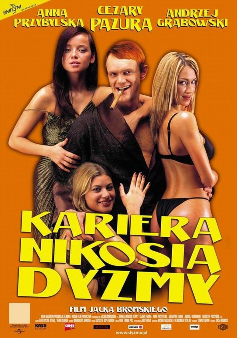 Career of Nikos Dyzma movie poster