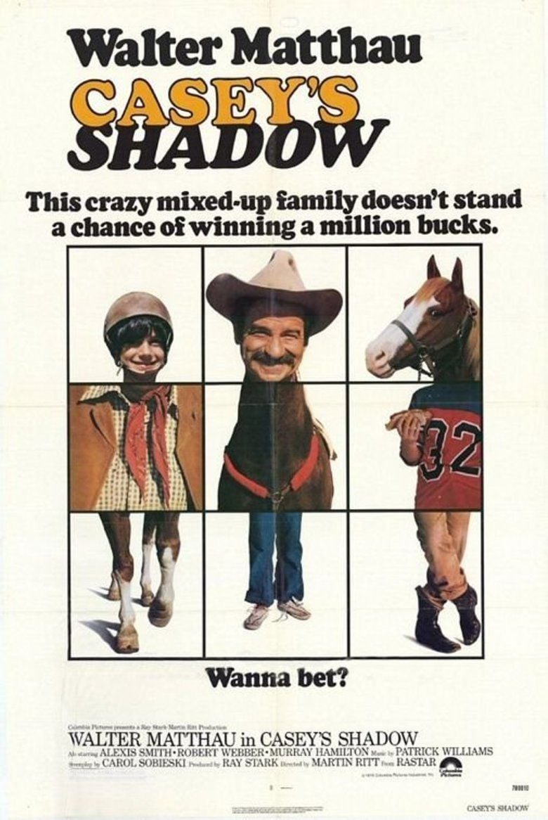 Caseys Shadow movie poster