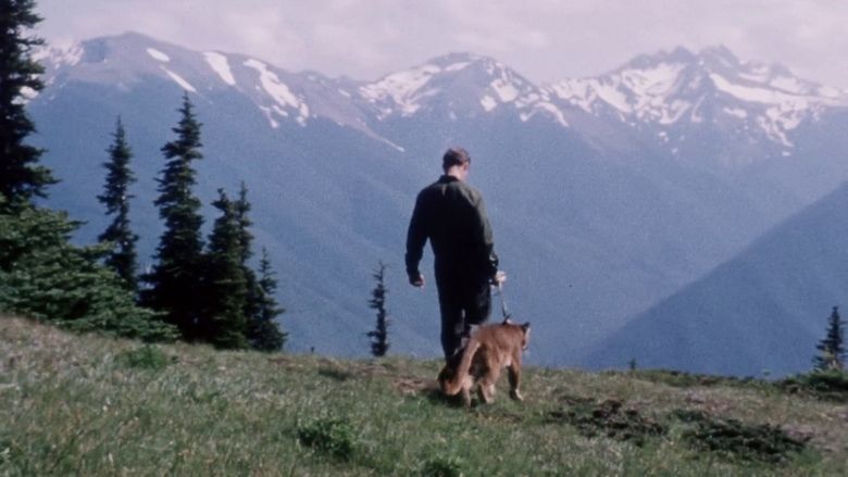 Charlie, the Lonesome Cougar movie scenes