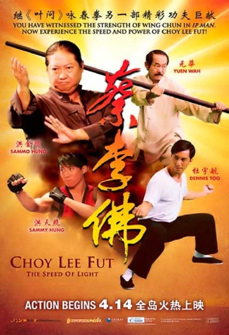 Choy Lee Fut (film) movie poster