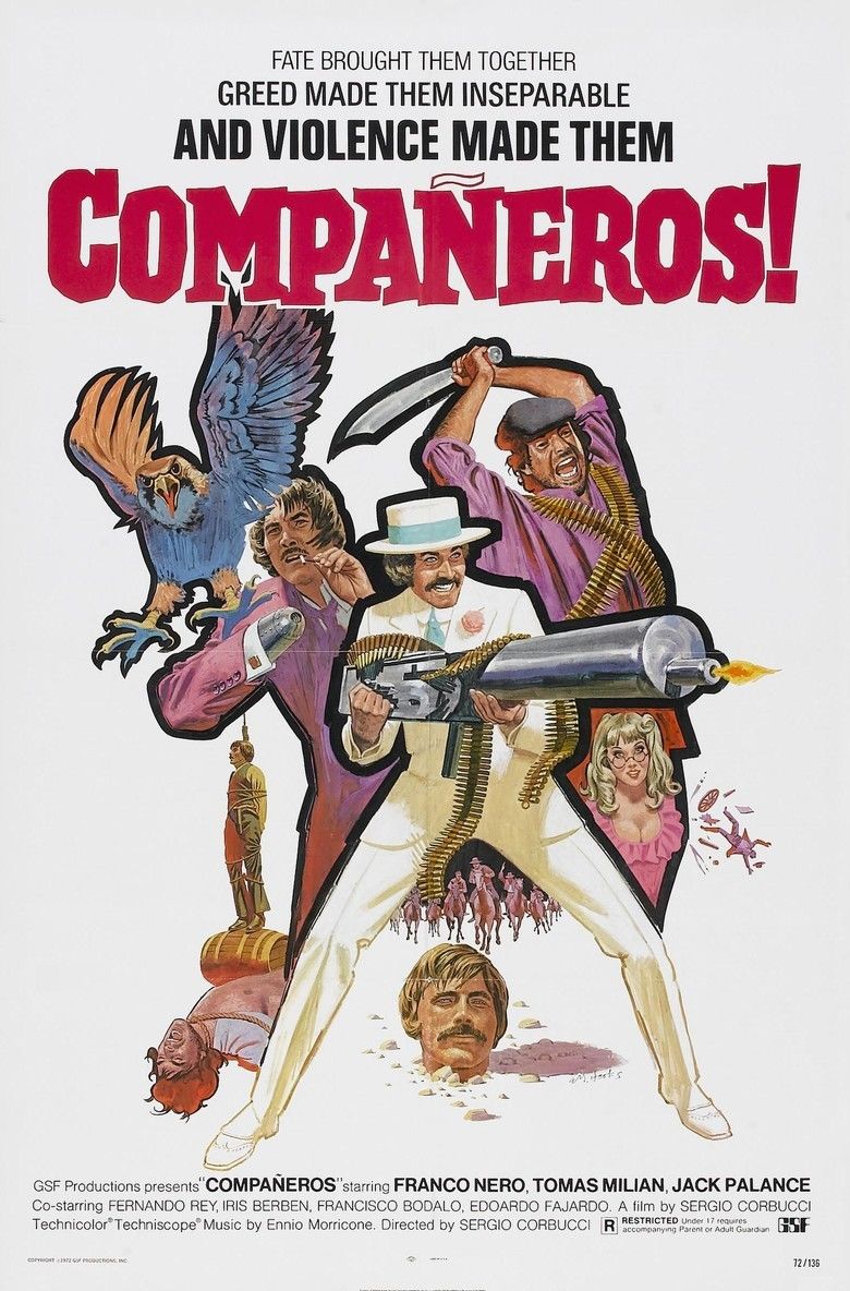 Companeros movie poster