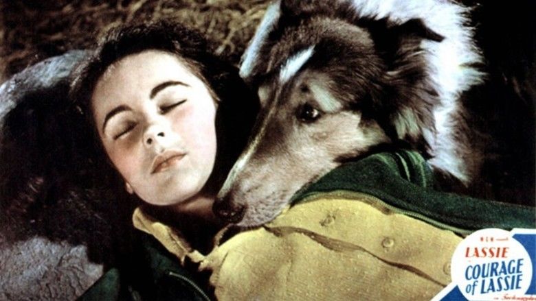 Courage of Lassie movie scenes