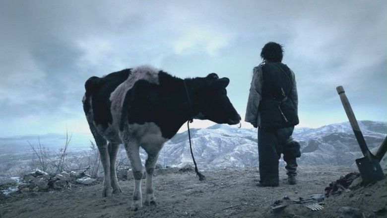 Cow (film) movie scenes