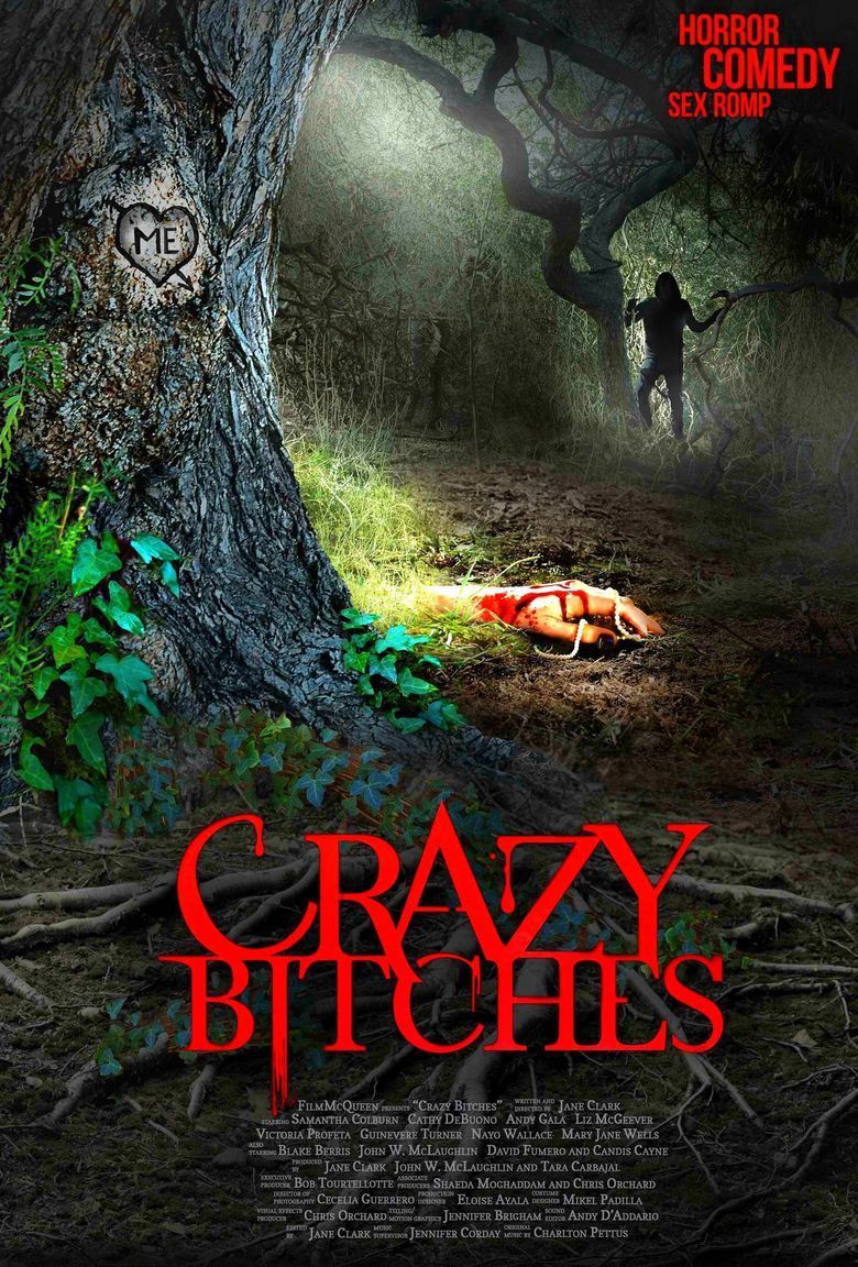 Crazy Bitches movie poster