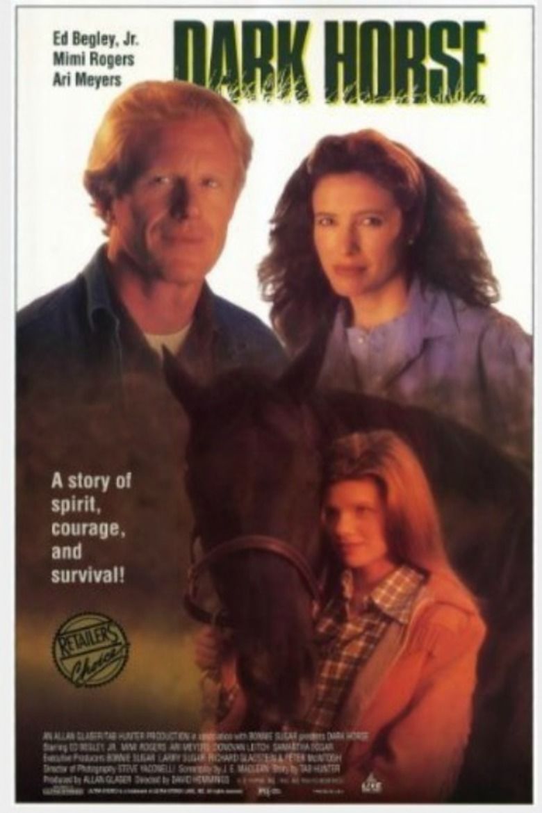 Dark Horse (1992 film) movie poster