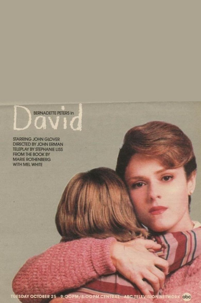 David (1988 film) movie poster