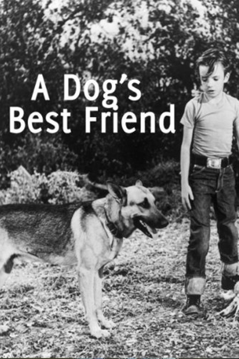 Dogs Best Friend (1960 film) movie poster