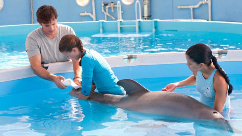 Dolphin Tale movie scenes