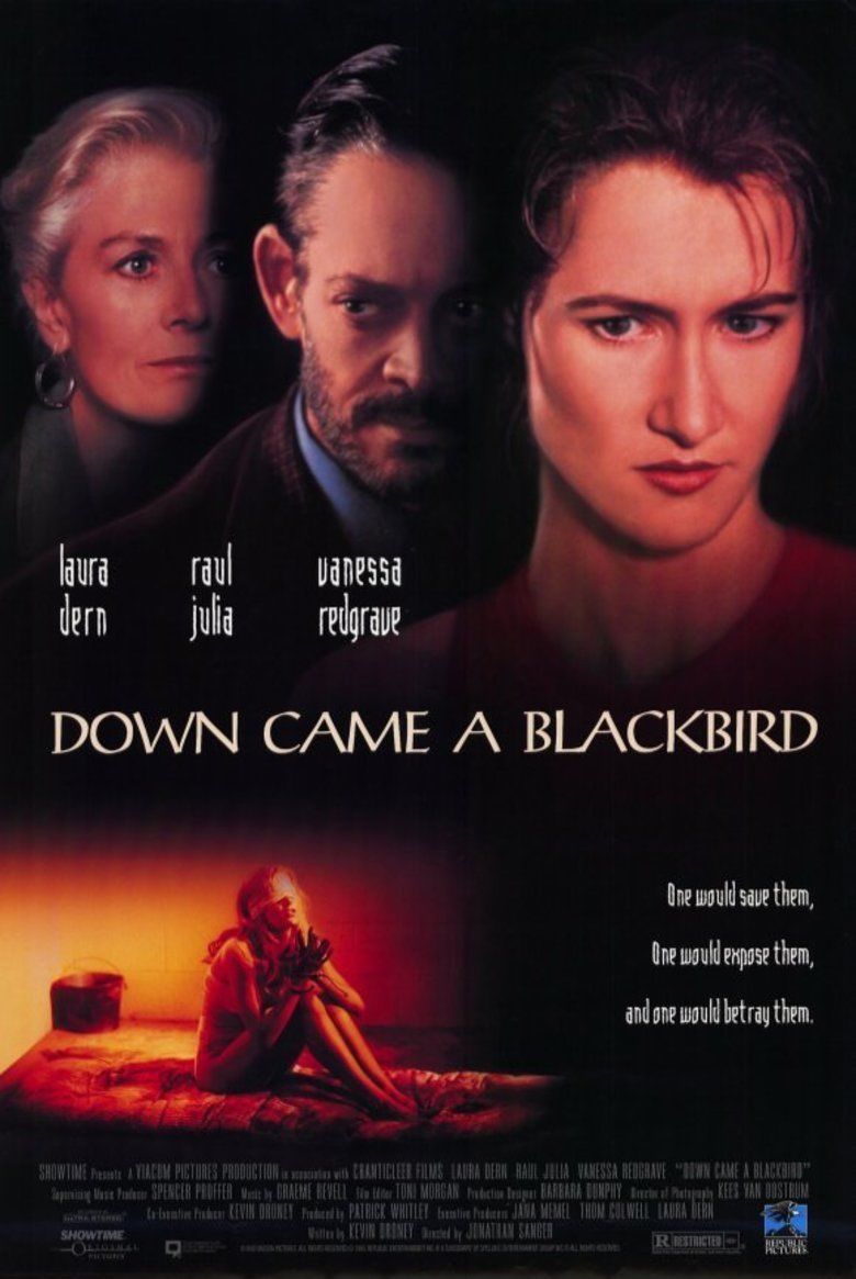 Down Came a Blackbird movie poster