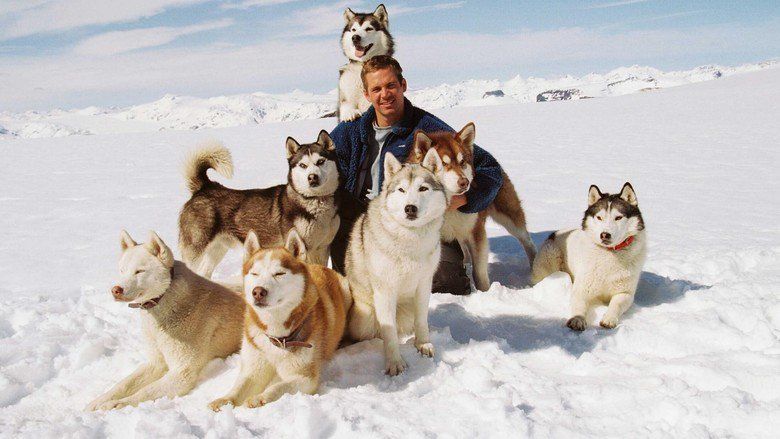 Eight Below movie scenes