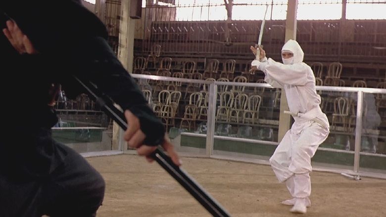 Enter the Ninja movie scenes