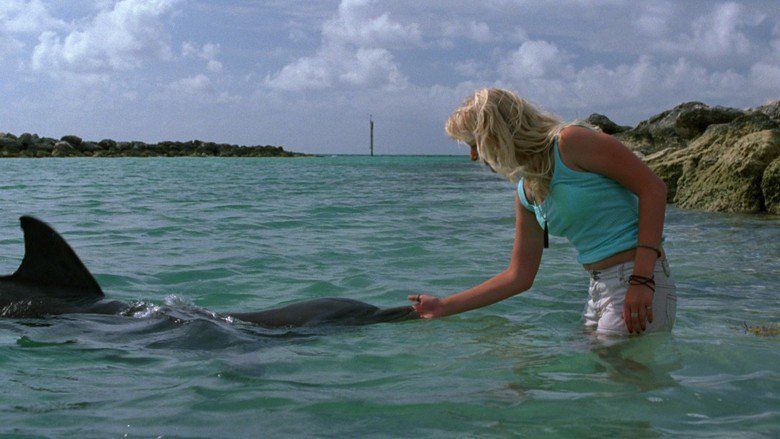 Eye of the Dolphin movie scenes