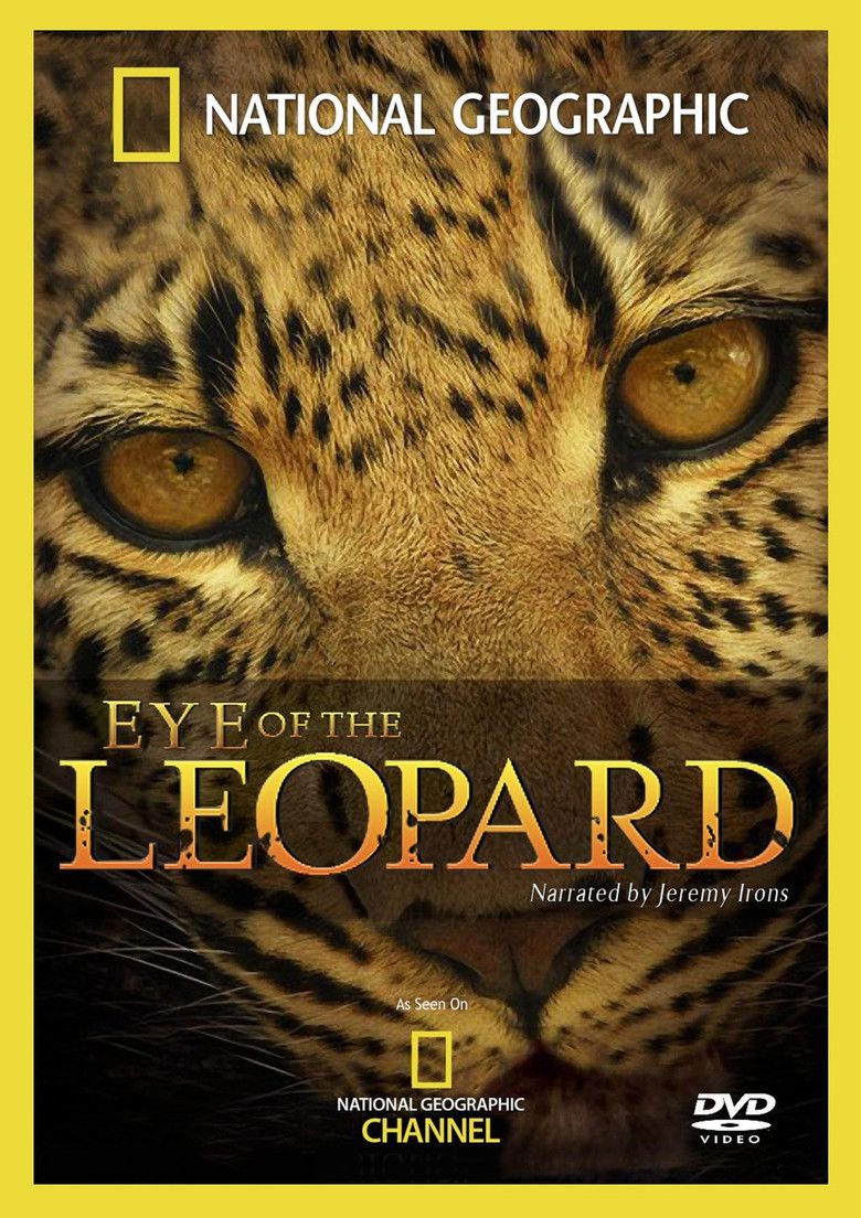 Eye of the Leopard movie poster