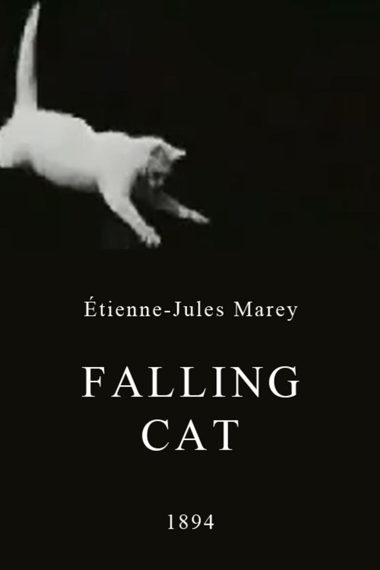 Falling Cat movie poster