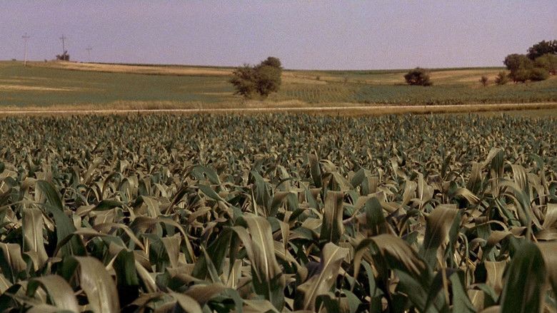 Field of Dreams movie scenes