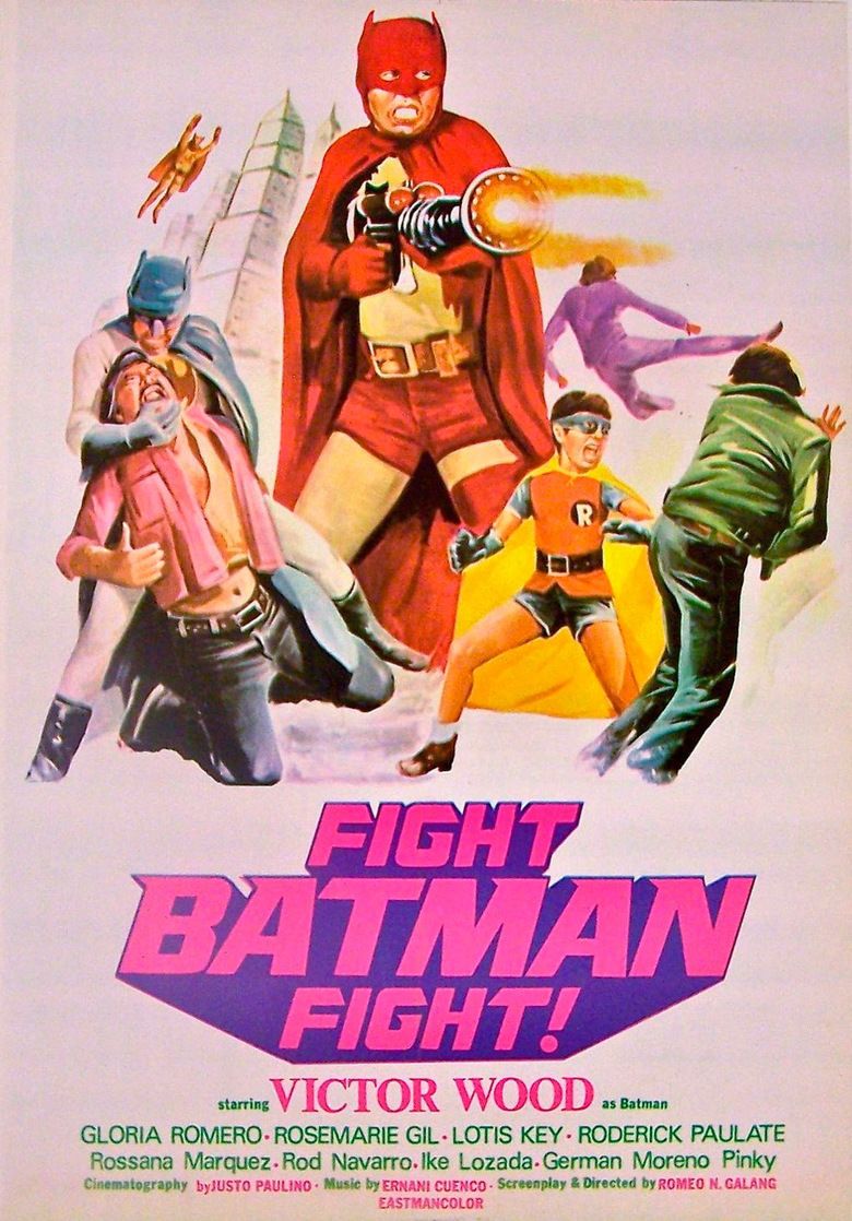 Fight Batman Fight! movie poster