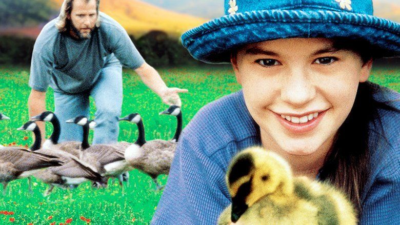 Fly Away Home movie scenes
