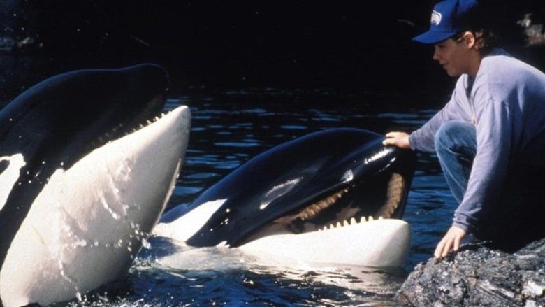 Free Willy 2: The Adventure Home movie scenes