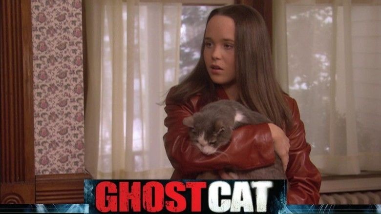 Ghost Cat movie scenes