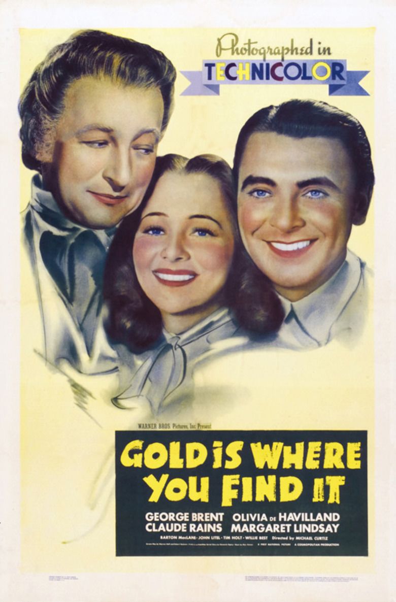 Gold Is Where You Find It movie poster